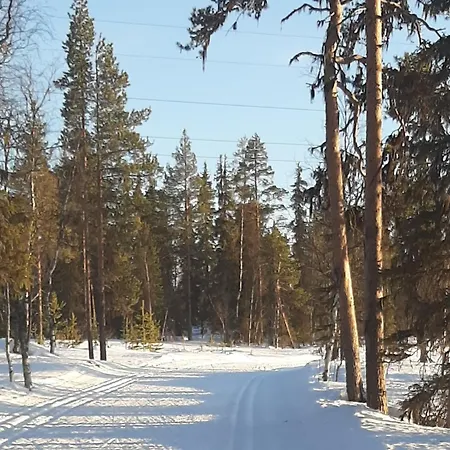Villa Virpiniemi Seaview *