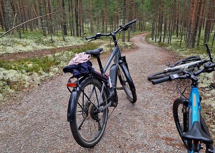 Virpiniemi Seaview *